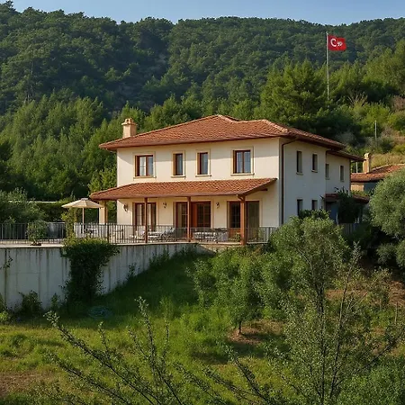 Olea Villa
