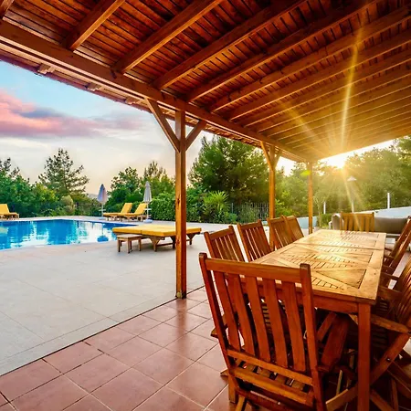 Olea * Akyaka (Mugla)